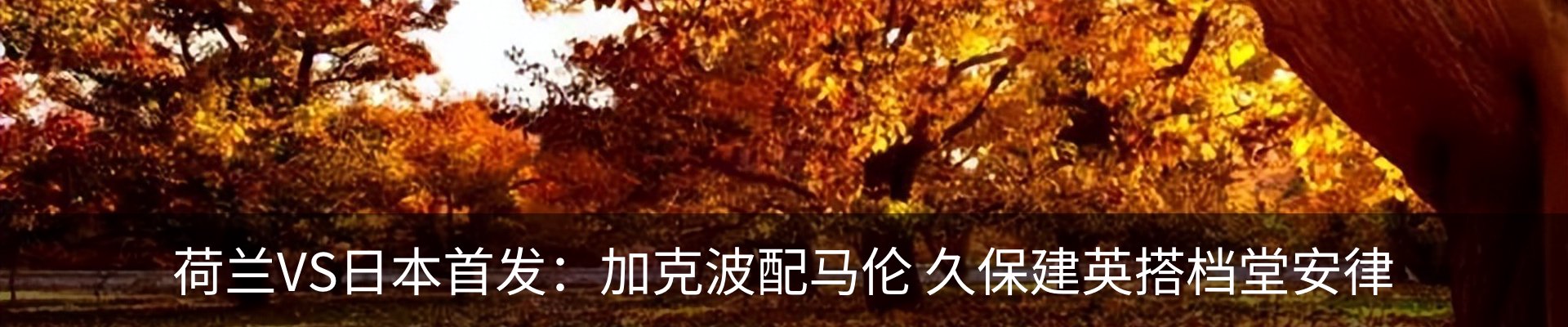 内页banner